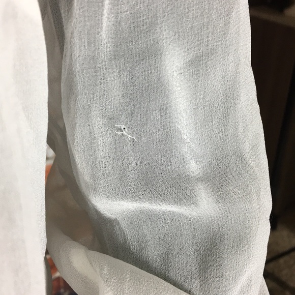 Bailey 44 Sheer Collared Button Up With Lace - Picture 4 of 8